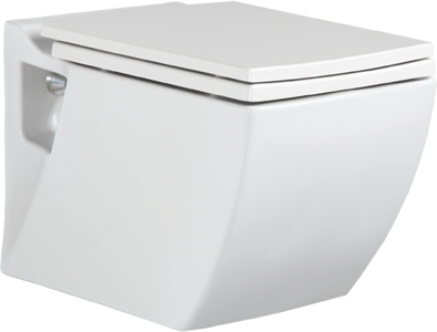Aqua Cleaning Taharet Dusch Hänge Wc Wandhänge Wc TP 324 + Soft Close Wc sitz