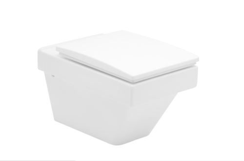 Taharet intim Dusch Wasch Bidet Wand Wc +  Wc Sitz Klohbrille Soft Close Absenkautomatik Light