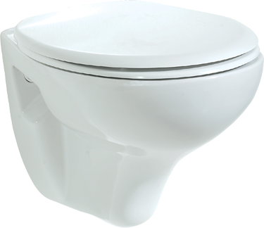 Aqua Cleaning Taharet Dusch Wc Taharet Wc Tp 320