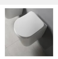 Taharet Wc Spülrandlos Randlos Taharat Dusch wc...