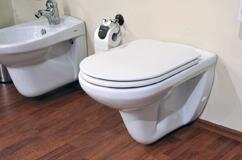 Aqua Cleaning Taharet Dusch Wasch Wc Ideal Keravit Tp 320 + soft close wc sitz